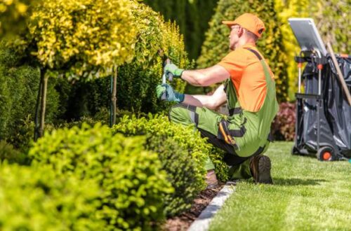 Arbeiten im Garten im Herbst