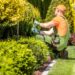 Arbeiten im Garten im Herbst