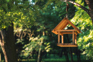 Vogelhäuschen im privaten Garten